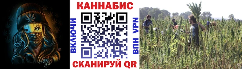 Наркота Менделеевск Конопля АМФ А ПВП ГАШИШ Кокаин