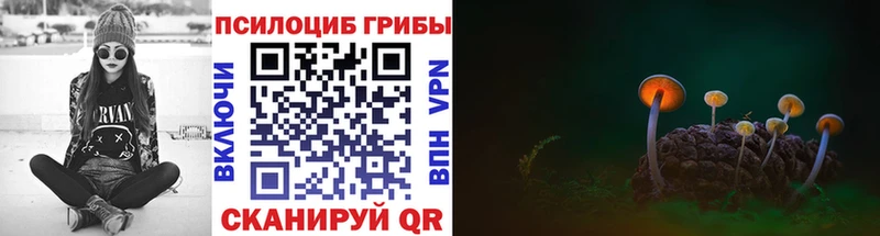 Псилоцибиновые грибы ЛСД Менделеевск